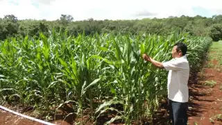 En este trabajo se procura cuidar el medio ambiente y retornar a los orígenes ancestrales para hacer producir tierra de manera natural