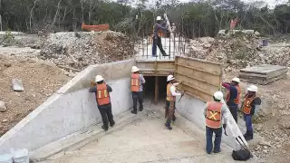 Fotos: Martín Zetina