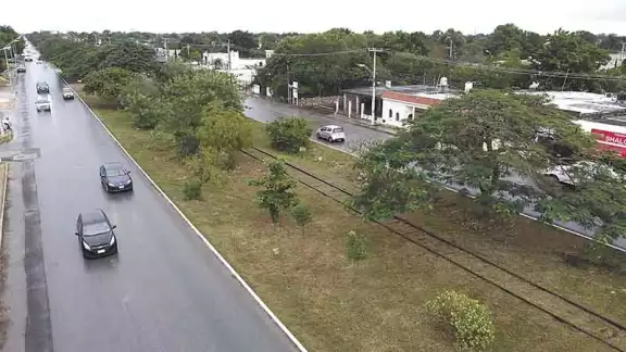 Tren Maya elevado recibe el respaldo de especialistas en Yucatán Tren Maya elevado recibe el respaldo de especialistas en Yucatán