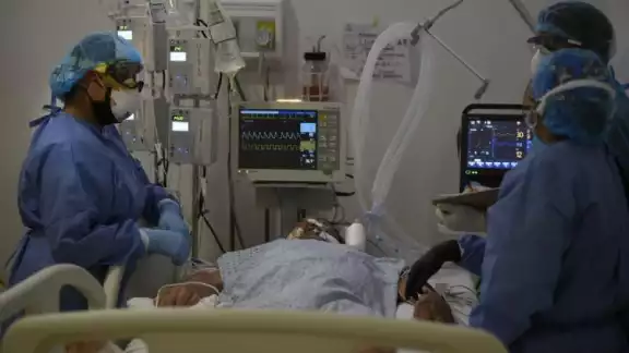 La mayoría de estos pacientes de hongo negro son personas que tienen la salud comprometida por enfermedades crónico degenerativas La mayoría de estos pacientes de hongo negro son personas que tienen la salud comprometida por enfermedades crónico degenerativas