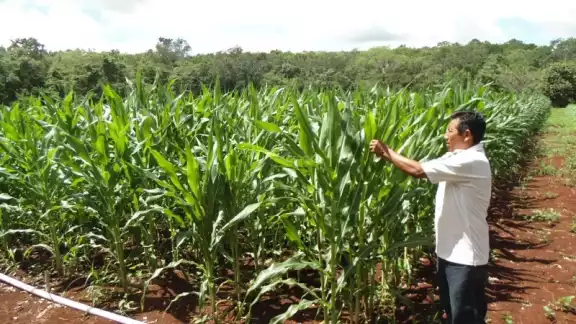 En este trabajo se procura cuidar el medio ambiente y retornar a los orígenes ancestrales para hacer producir tierra de manera natural