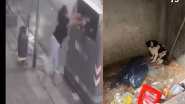 En Argentina una mujer tira a su perro a la basura