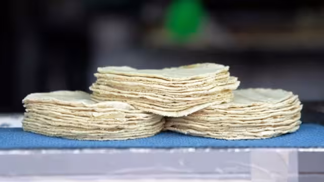 Aseguran que las tortillas "piratas" o "falsas" están hechas de olote
