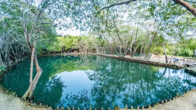 El Corchito surgió después del huracán "Gilberto". Foto: Especial