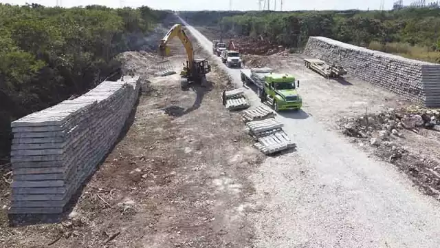 Tren Maya elevado, más económico en Yucatán: Fonatur