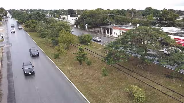 Tren Maya elevado recibe el respaldo de especialistas en Yucatán