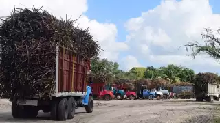 Un total de 12 mil hectáreas de los campos en la Ribera se han visto afectadas