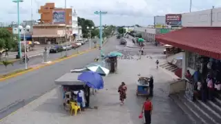 Para que sea zona libre debe contar con al menos 20 hectáreas