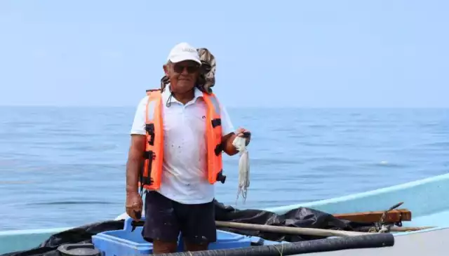 Costa yucateca cierra exitosa temporada de pulpo