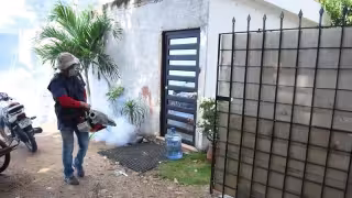 Dengue gana terreno en Yucatán: contagios aumentan y ya hay 19 municipios afectados