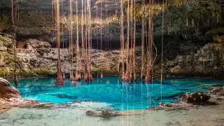Grupo Xcaret perforó cenotes para crear ríos subterráneos al interior del parque Xibalbá