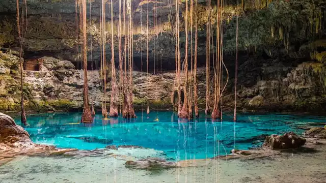 Grupo Xcaret perforó cenotes para crear ríos subterráneos al interior del parque Xibalbá