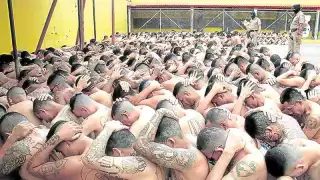 "Maras" buscan llegar a México: huyen de El Salvador