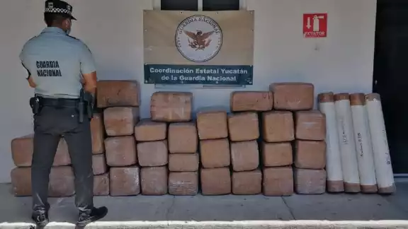 De acuerdo con el Censo Nacional de Seguridad Pública Estatal 2021, en el año pasado fueron detenidas 246 personas acusadas de cometer delitos contra la salud. ( De acuerdo con el Censo Nacional de Seguridad Pública Estatal 2021, en el año pasado fueron detenidas 246 personas acusadas de cometer delitos contra la salud. (