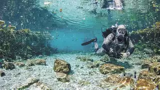 Foto: Martín Zetina