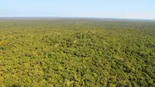 Los aluxes son parte emblemática de Yucatán