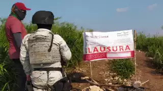Profepa clausura cuatro obras ilegales en Campeche y Carmen por daño ambiental