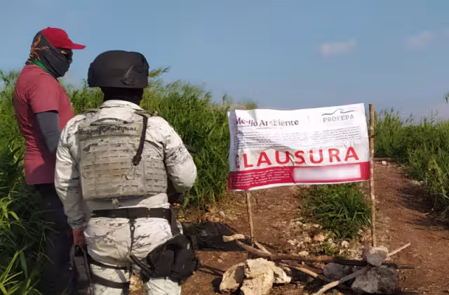 Obras sin estudios de impacto ambiental provocan clausuras en Campeche y Ciudad del Carmen