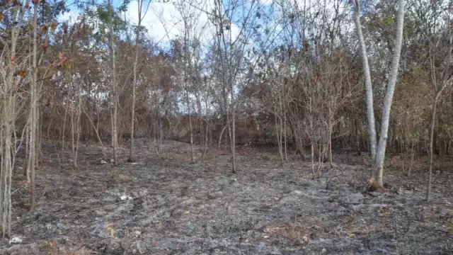 Foto: Moisés Omar Soto Suárez