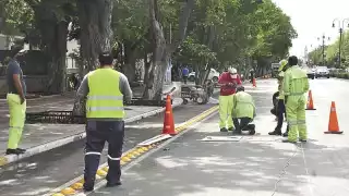 Ciclovías darán seguridad a pedalistas en Mérida, aseguran
