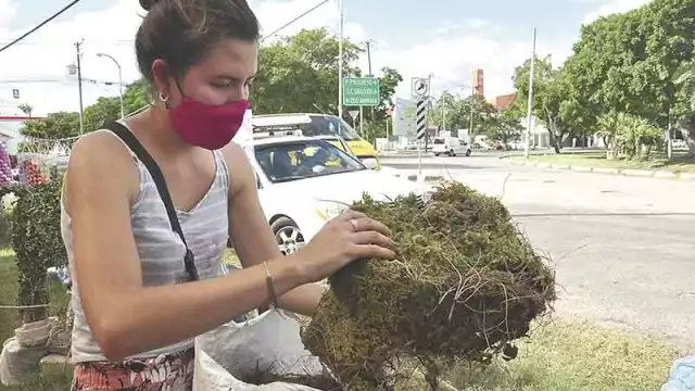 Foto: Víctor Gijón