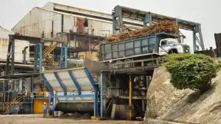 Productores prevén cosecha de dos millones de toneladas de caña en la Ribera del Río Hondo
