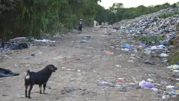 El basurero de Chetumal se encuentra saturado El basurero de Chetumal se encuentra saturado