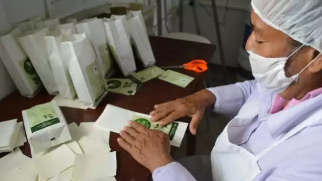 La Cooperativa Selva Viva 3G, de Tres garantías, elabora tés, harina, horchata y galletas