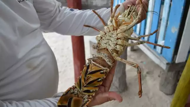 Foto: Erick Castillo