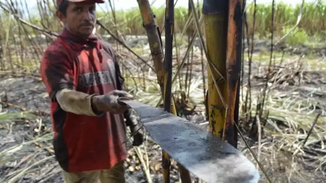 Los apoyos entregados benefician a productores de distintos ejidos de la zona sur de Quintana Roo
