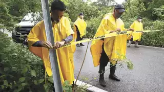 Foto: Martín Zetina