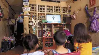 Docentes explican que durante el pasado curso escolar detectaron fallas en los programas a distancia y televisivos