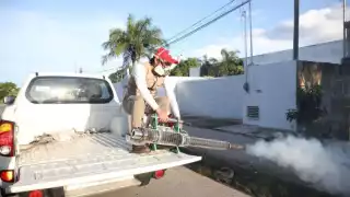 Hasta ahora no se han registrado decesos por el dengue en Yucatán