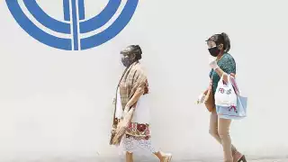 Foto: Martín Zetina