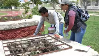 Hasta el momento se han detectado 527 personas con dengue en Yucatán