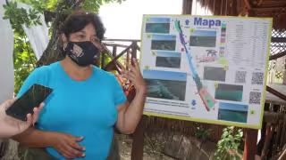 Los Rápidos de Bacalar es una de las zonas que ya recuperó su tonalidad azul y cristalina