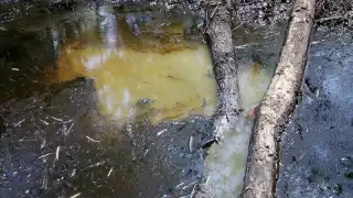 Fuga de Pemex contamina ríos en Chiapas y deja sin agua a 600 mil personas en Tabasco