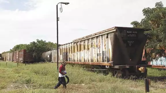 Tren Maya elevado es factible, asegura investigadora de la UADY Tren Maya elevado es factible, asegura investigadora de la UADY