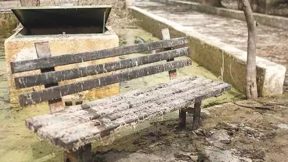 Parques Hundidos, hogar de moscos y sanguijuelas en Mérida Parques Hundidos, hogar de moscos y sanguijuelas en Mérida