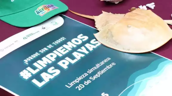 Convocan a limpieza simultánea de la costa yucateca Convocan a limpieza simultánea de la costa yucateca