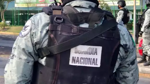 La iniciativa fue aprobada en la Cámara de Diputados, con el respaldo de las bancadas de Morena, PT y Partido Verde La iniciativa fue aprobada en la Cámara de Diputados, con el respaldo de las bancadas de Morena, PT y Partido Verde