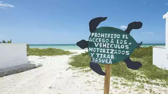 Ecosistema del Pueblo Mágico de Sisal, en peligro por la invasión de loteros: Bióloga