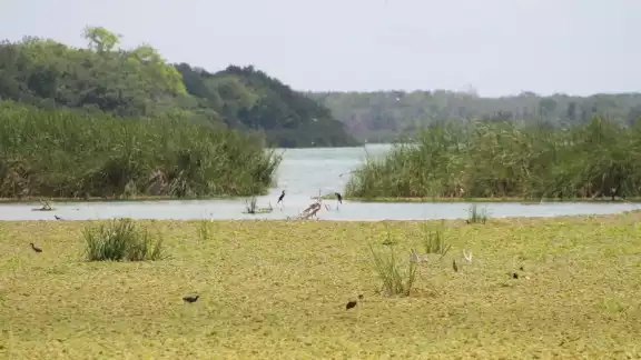 Los pescadores continúan trabajando pese a todos los riesgos