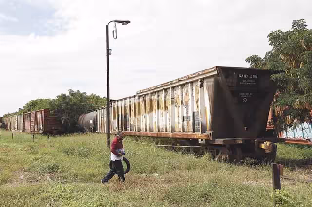 Tren Maya elevado es factible, asegura investigadora de la UADY