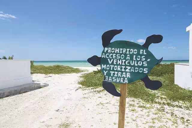 Ecosistema del Pueblo Mágico de Sisal, en peligro por la invasión de loteros: Bióloga