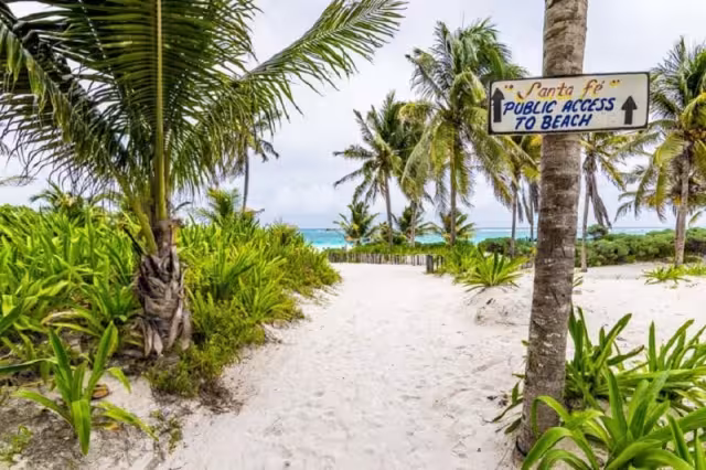 El Santa Fe Beach Club fue asegurado por daños a la biodiversidad y al medio ambiente en Tulum
