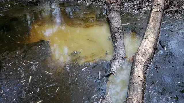 Fuga de Pemex contamina ríos en Chiapas y deja sin agua a 600 mil personas en Tabasco