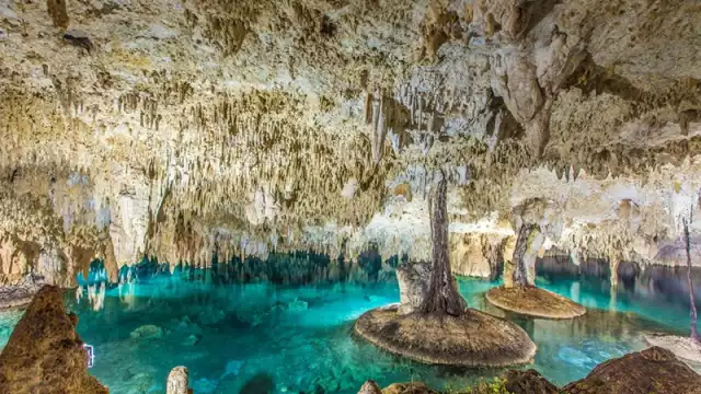 La fl or de piedra cerró sus puertas al público a causa de los temporales ocurridos en 2020