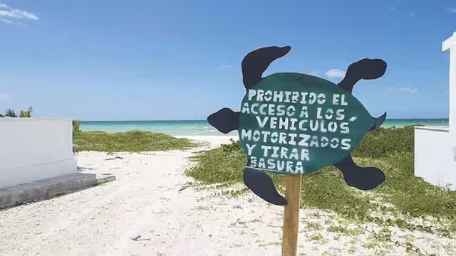 Ecosistema del Pueblo Mágico de Sisal, en peligro por la invasión de loteros: Bióloga