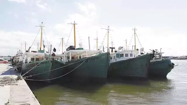 Megaproyectos de Progreso deberán cuidar el medio ambiente: Cinvestav